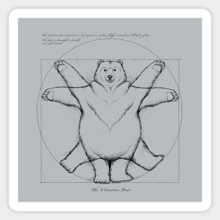 Vitruvian Bear Grey Sticker